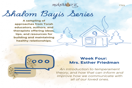 Sholom Bayis Series Mrs Esther Friedman